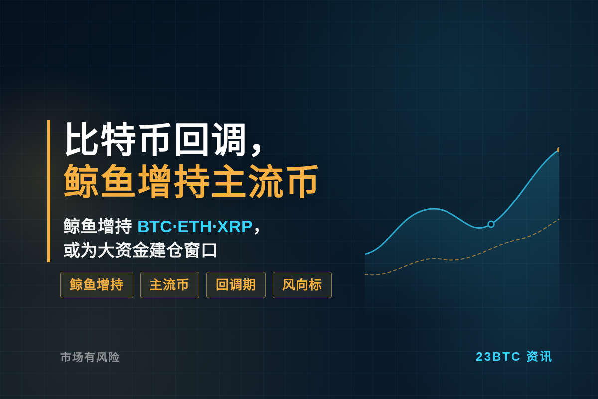 比特币回调，鲸鱼增持主流币