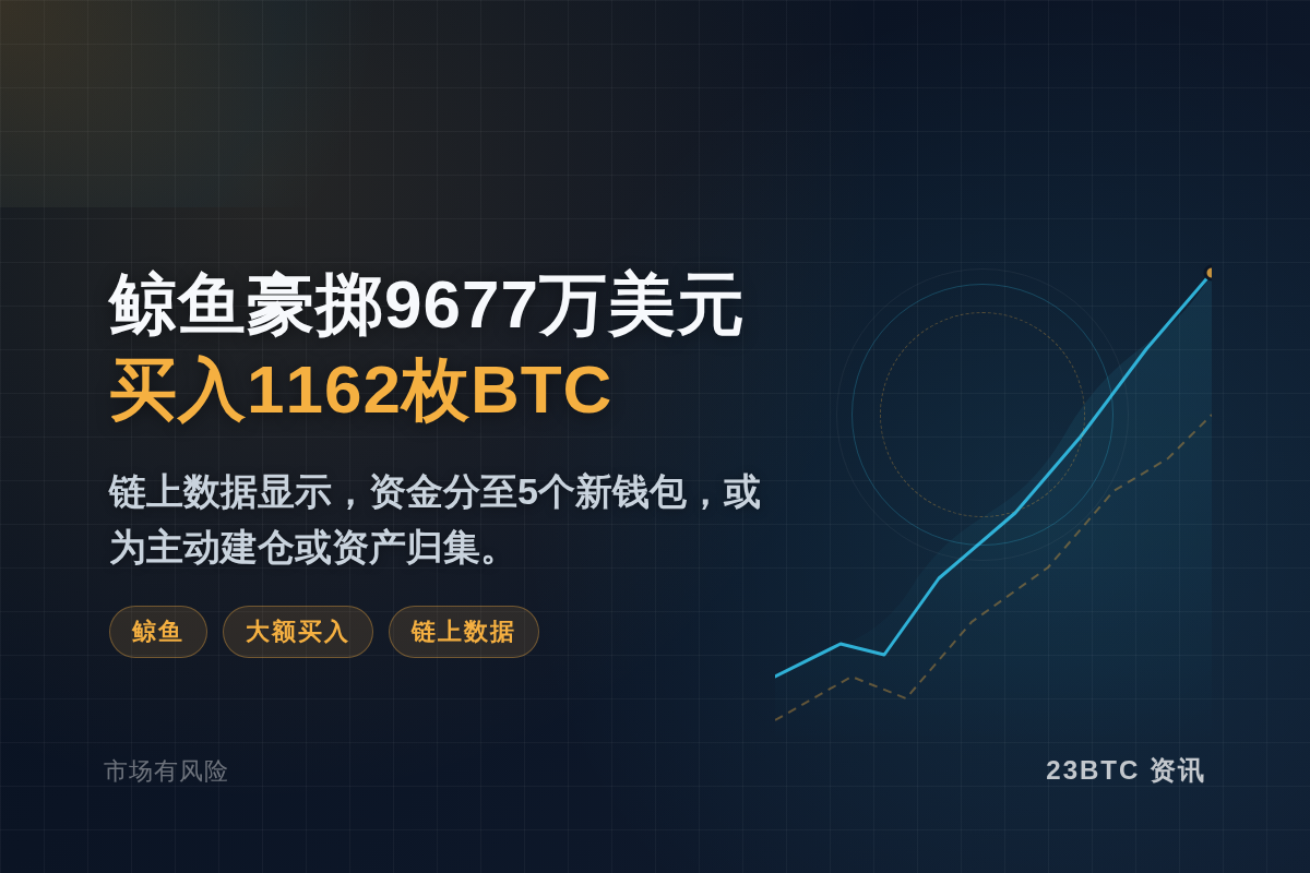 鲸鱼豪掷9677万美元买入1162枚BTC插图1 鲸鱼豪掷9677万美元买入1162枚BTC