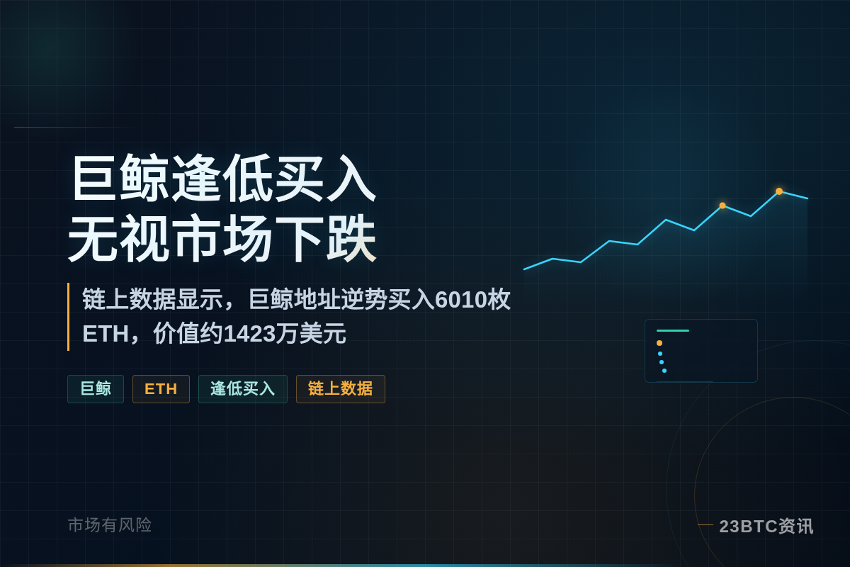 巨鲸逢低买入，无视市场下跌