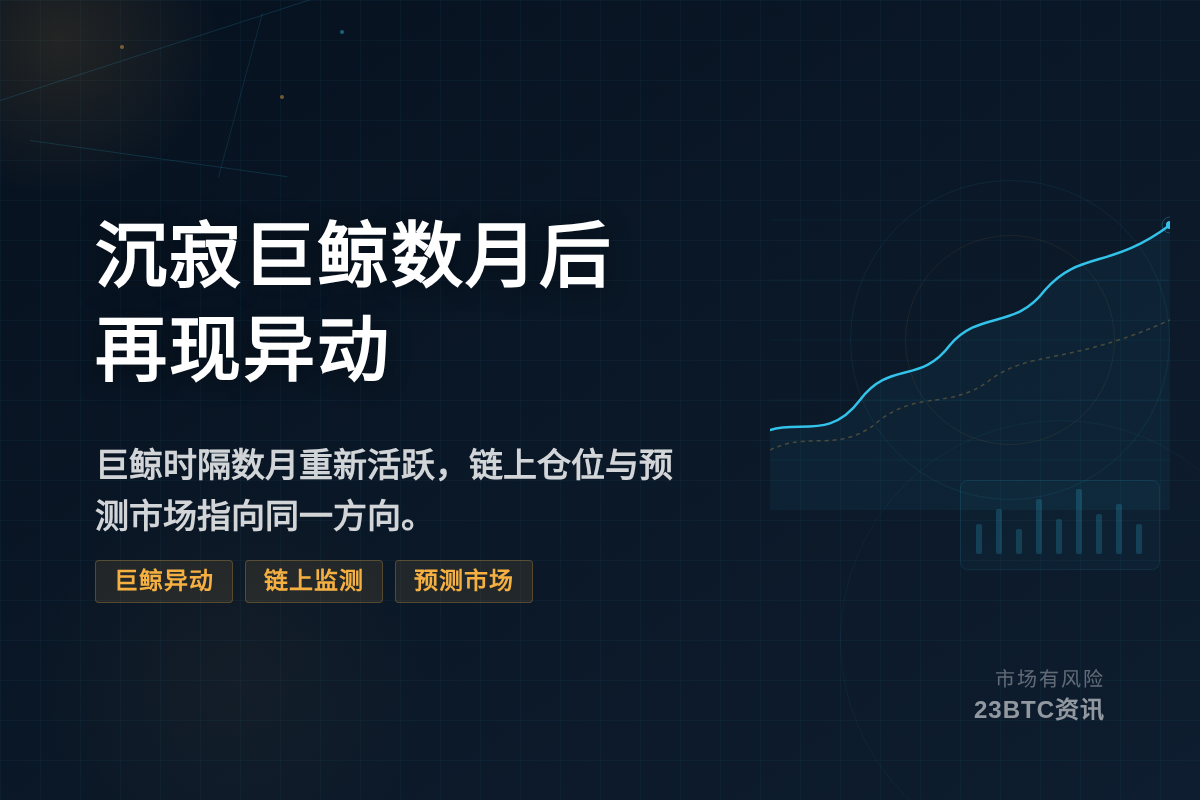 沉寂巨鲸数月后再现异动插图1 沉寂巨鲸数月后再现异动