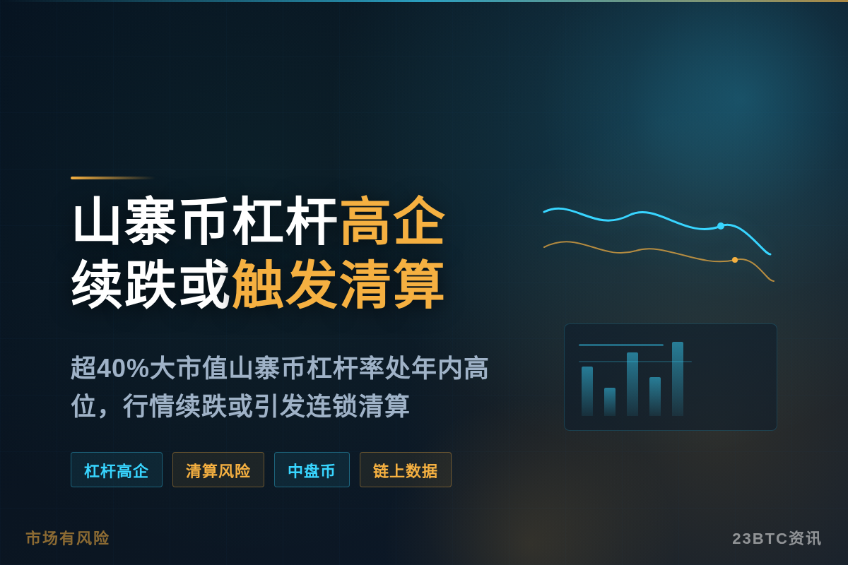 山寨币杠杆高企，续跌或触发清算