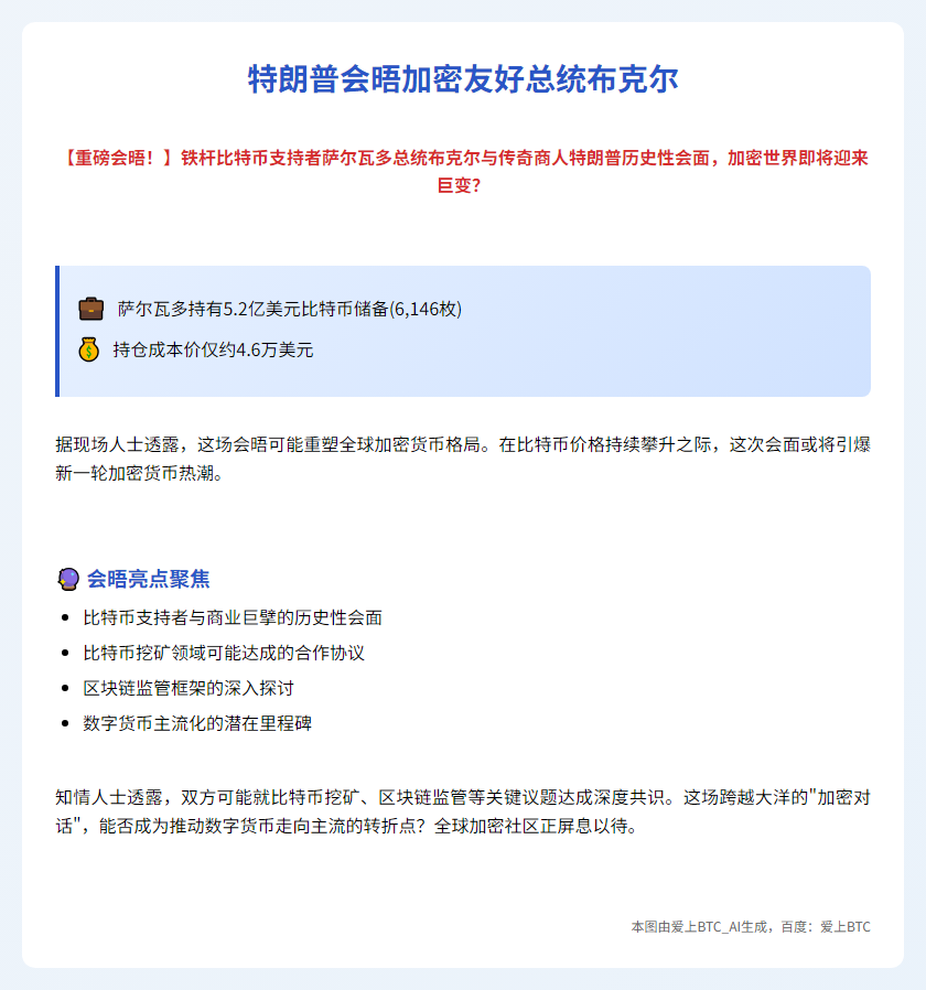 特朗普会晤加密友好总统布克尔