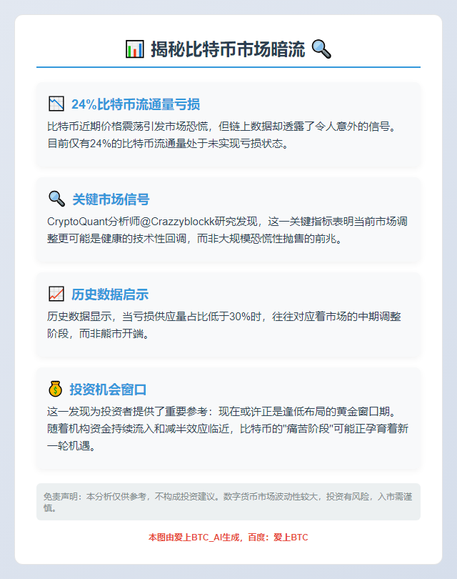 "24%比特币流通量亏损"