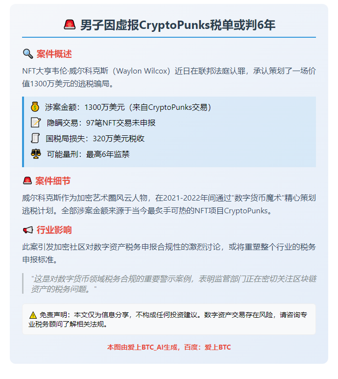 男子因虚报CryptoPunks税单或判6年