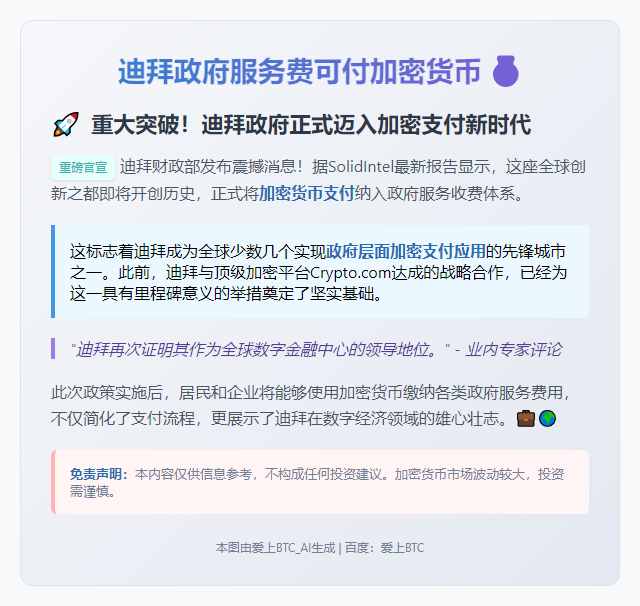迪拜政府服务费可付加密货币