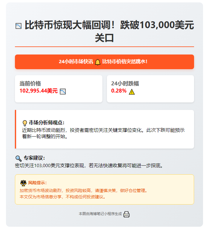 BTC跌破10.3万美元