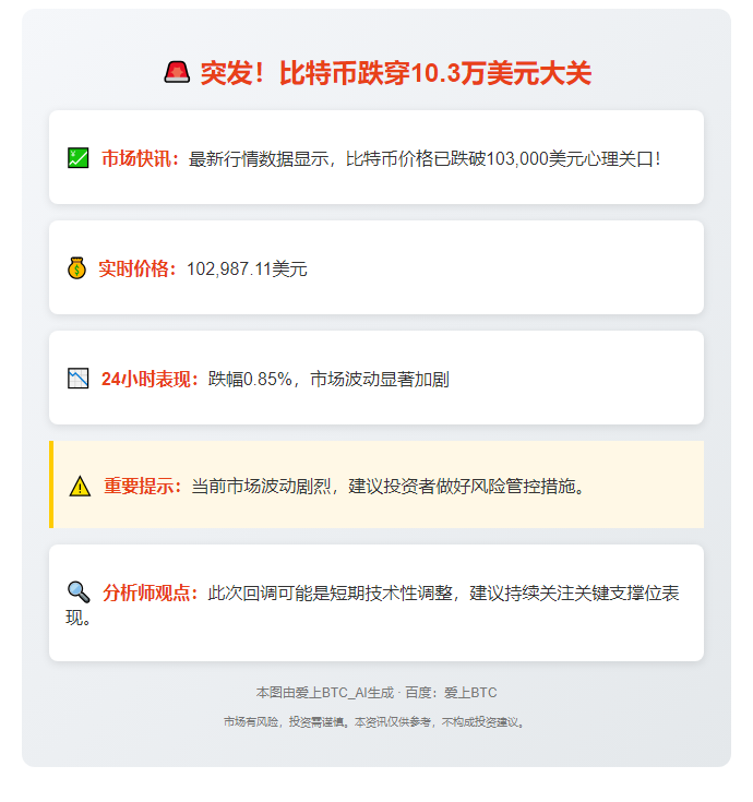 BTC失守10.3万美元