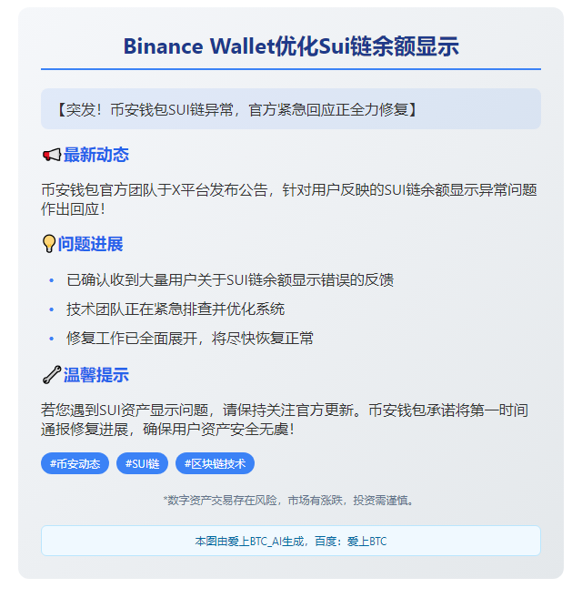 Binance Wallet优化Sui链余额显示