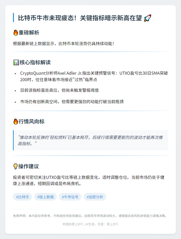 比特币有望再创新高，市场尚未过热
