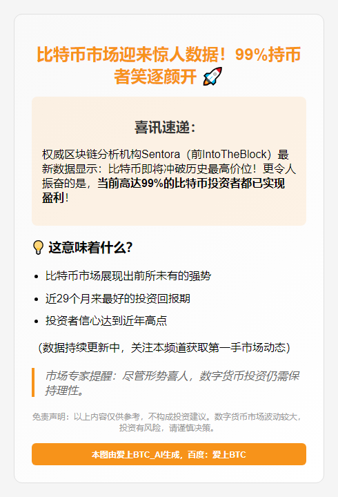 比特币持有者99%盈利