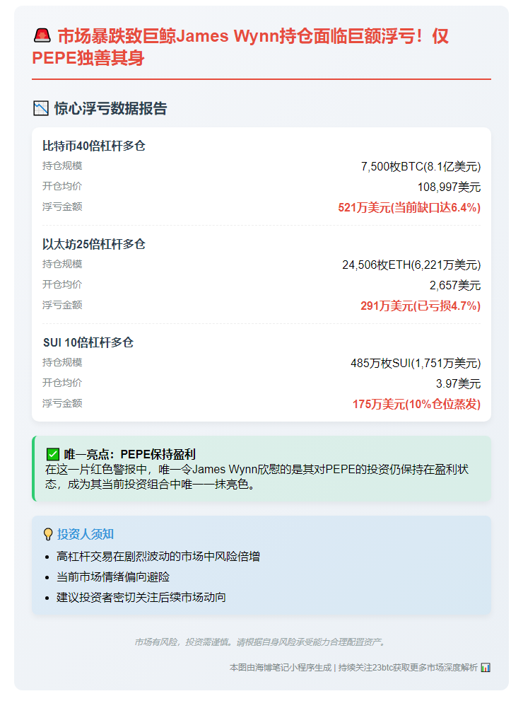 巨鲸James Wynn多仓浮亏980万，仅PEPE盈利