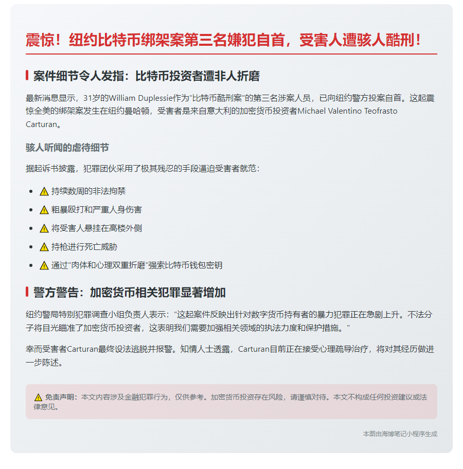 纽约比特币绑架案第三嫌犯自首