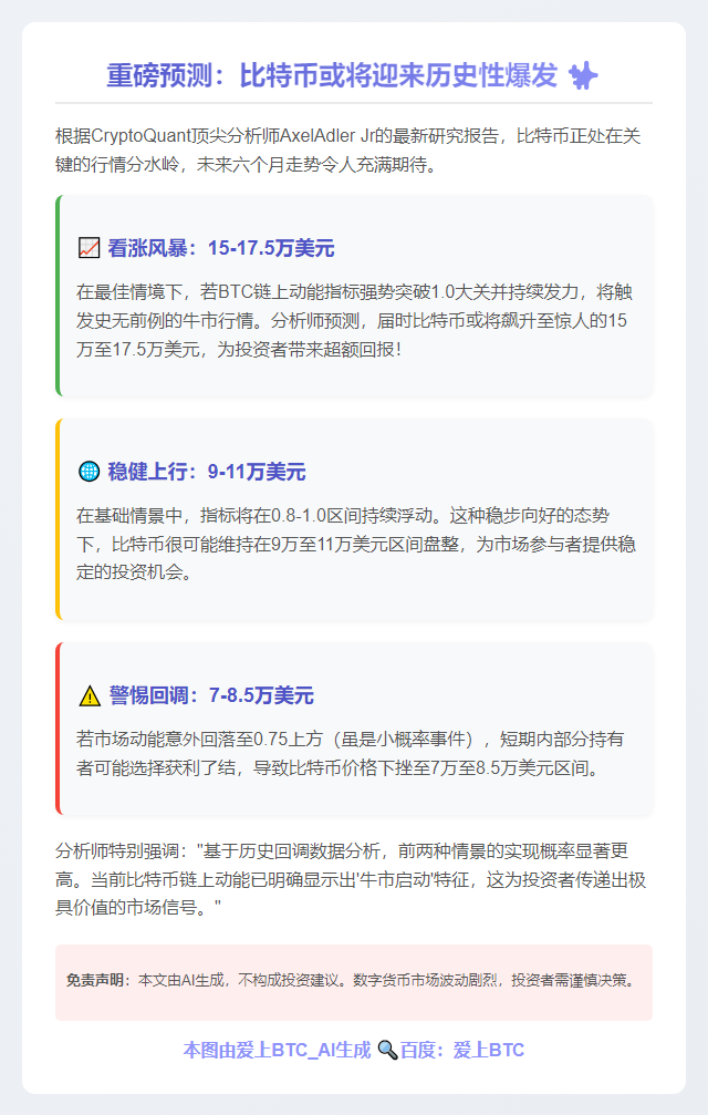 比特币半年内或涨至17.5万美元