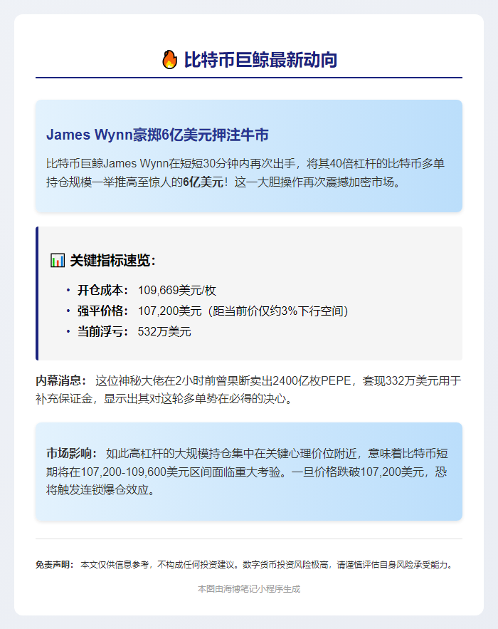 詹姆斯万加仓比特币至6亿美元 清算价10.7万