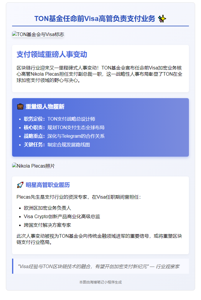 TON基金任命前Visa高管负责支付业务
