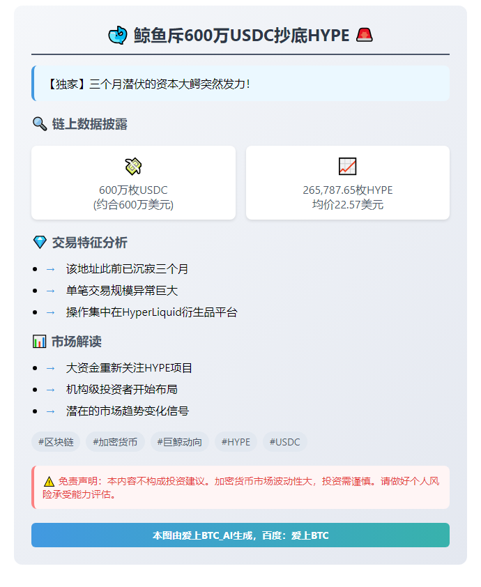 鲸鱼斥600万USDC抄底HYPE