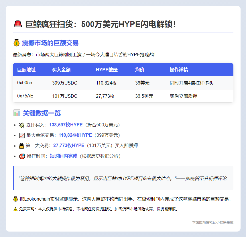 两鲸豪掷500万美金买入HYPE