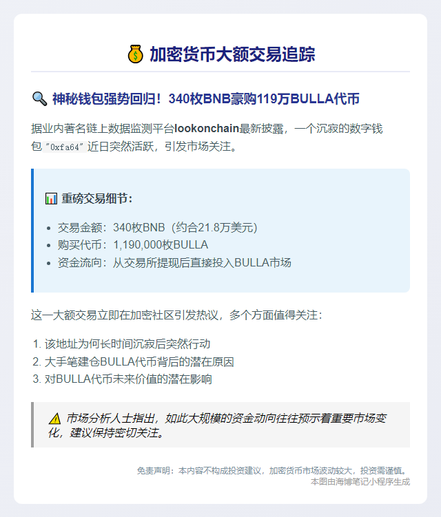 地址3月后豪掷340BNB购119万BULLA