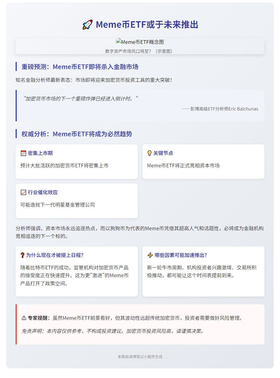 "Meme币ETF或于未来推出"